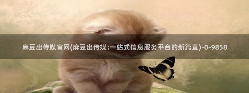 麻豆描述库