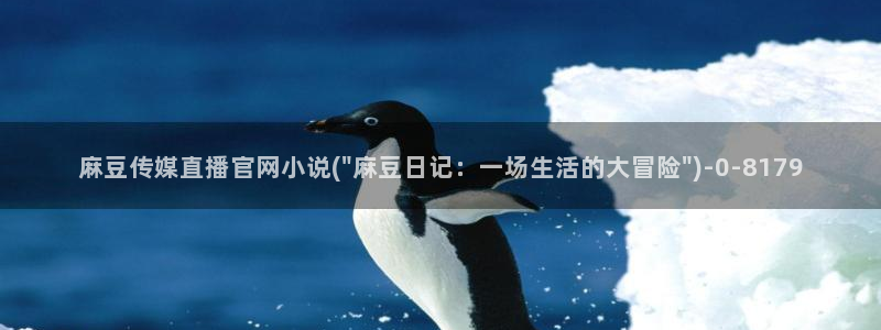 麻豆幕后花絮