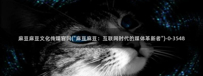 麻豆视频演员文案