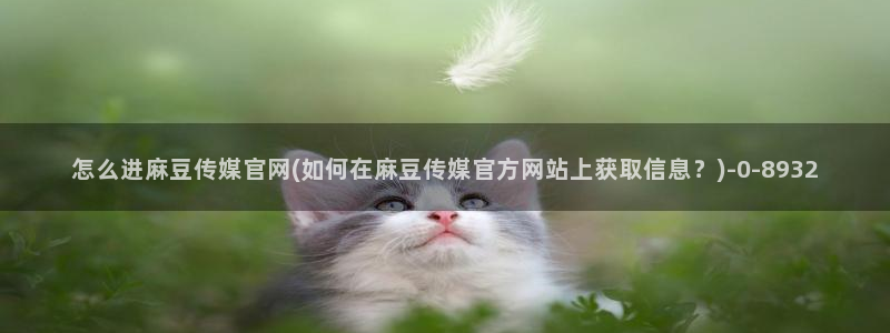 麻豆视频合集