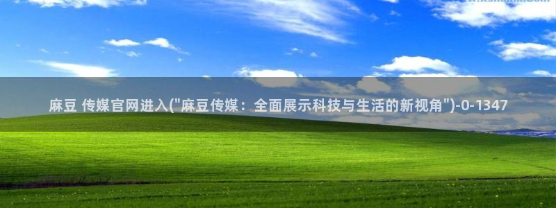 麻豆SEO关键词