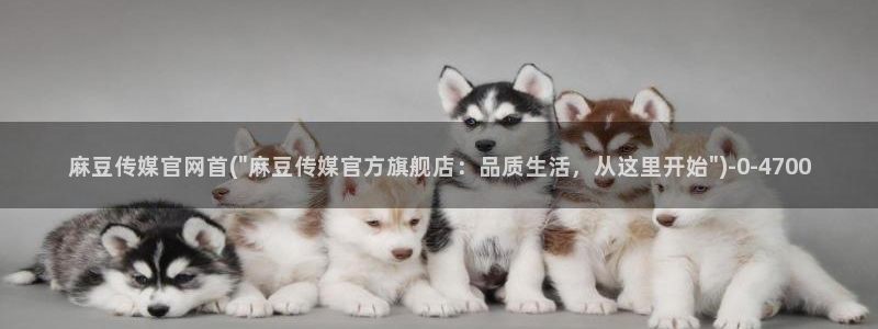 麻豆视频搜索词