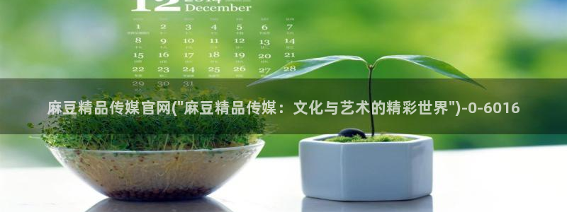 麻豆短剧