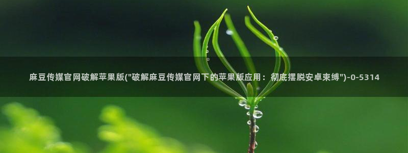麻豆情感剧情
