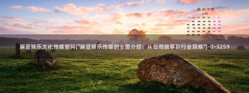 麻豆资讯标题