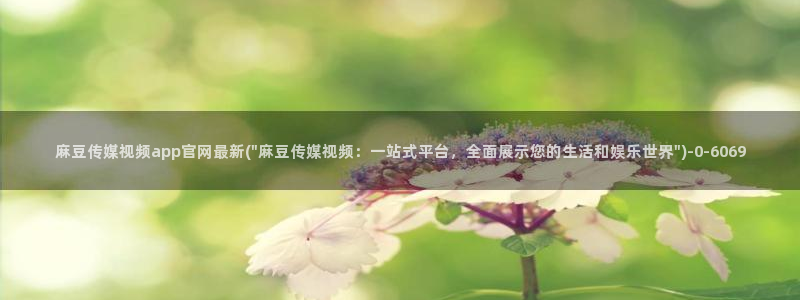 麻豆视频搜索词