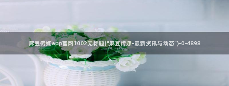 麻豆视频收藏