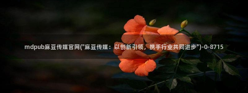 麻豆视频泛目录词