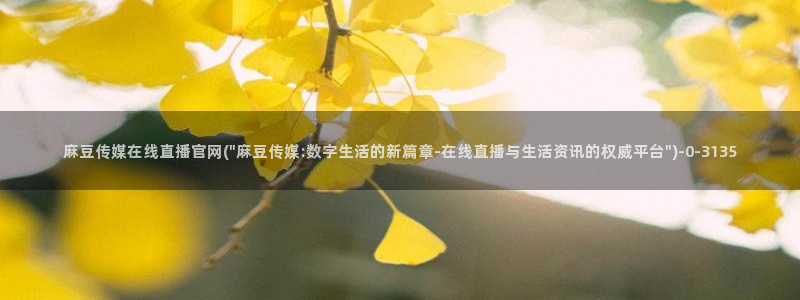 麻豆站点地图