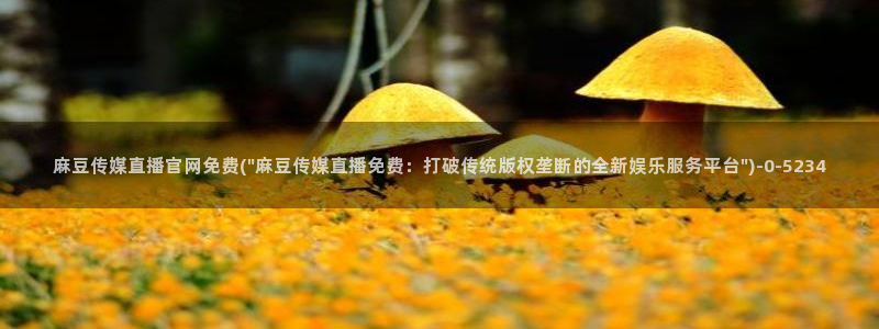 麻豆观看指南
