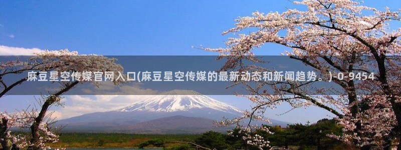 麻豆视频采集