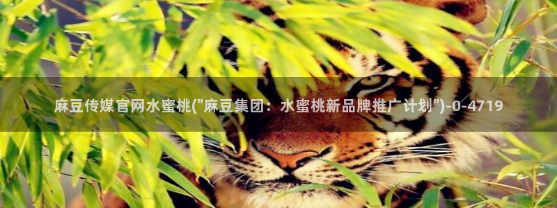 麻豆影视站