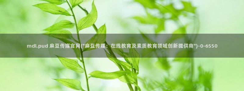 麻豆合集页