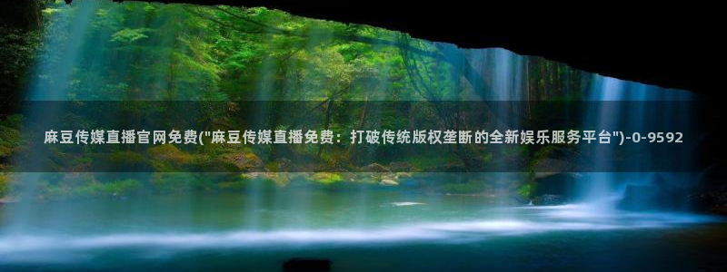 麻豆视频资料文案