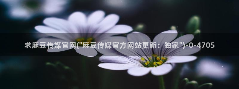 麻豆女演员