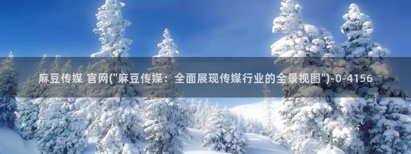 麻豆视频资料维护
