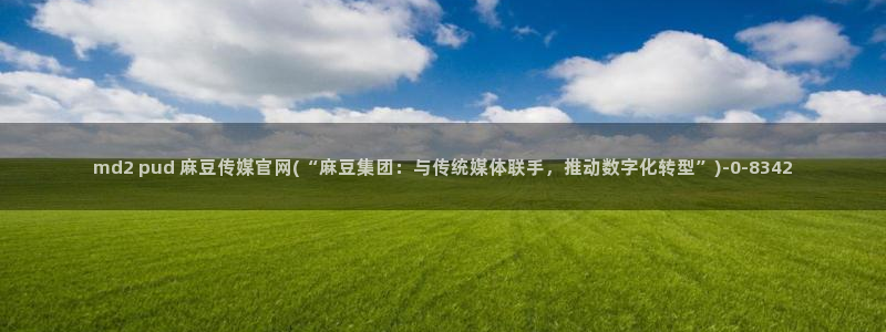 麻豆最新视频