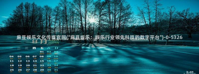 麻豆资讯描述