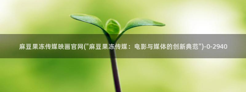麻豆视频合作联系