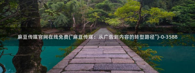 麻豆视频资料文案