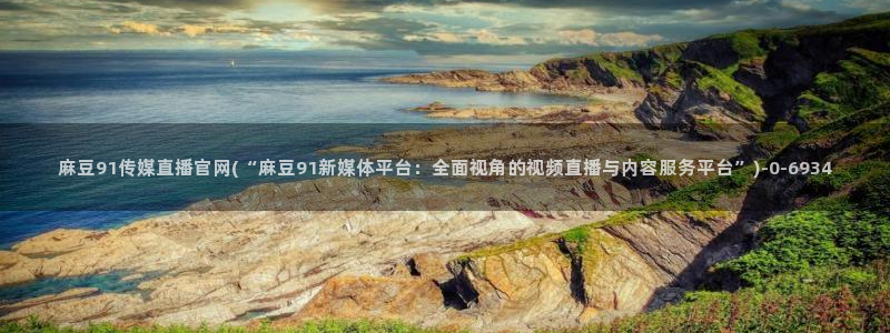 麻豆视频内容质量