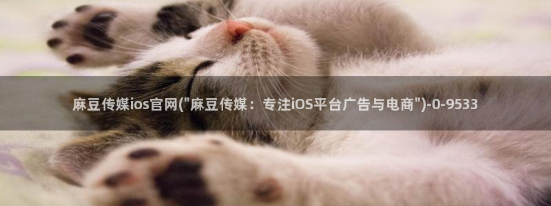 麻豆视频用户体验