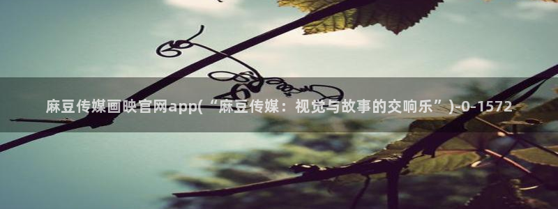 麻豆视频分类