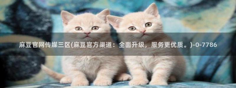 麻豆职场剧情