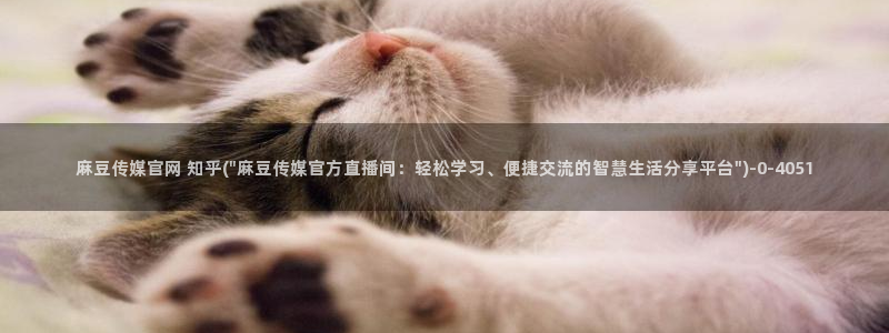 麻豆传媒在线观看