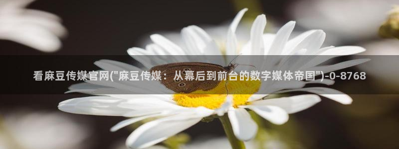 麻豆剧情视频