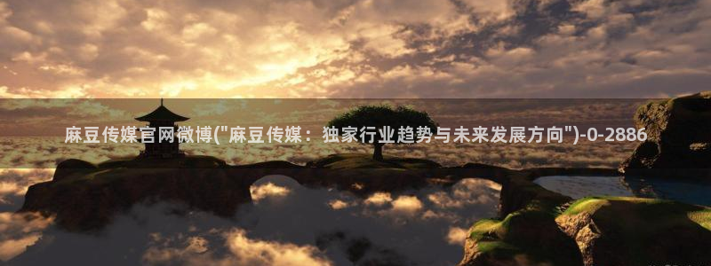 麻豆视频资料文案