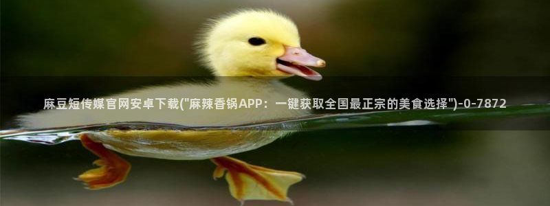 麻豆视频泛目录词