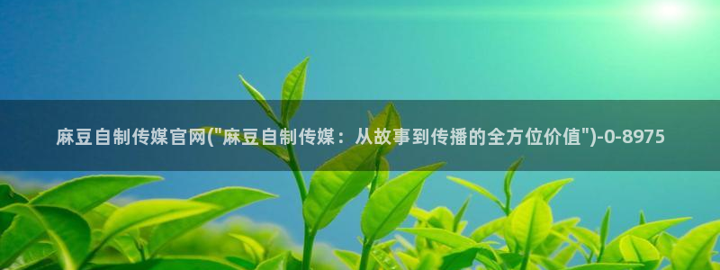 麻豆传媒精选