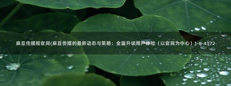 麻豆视频专题维护